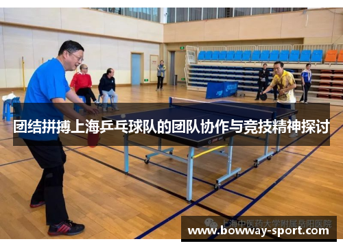 团结拼搏上海乒乓球队的团队协作与竞技精神探讨